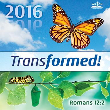 Transformed Theme 2016